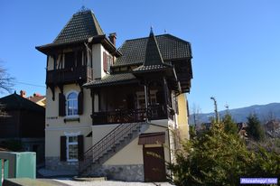 Bled villa